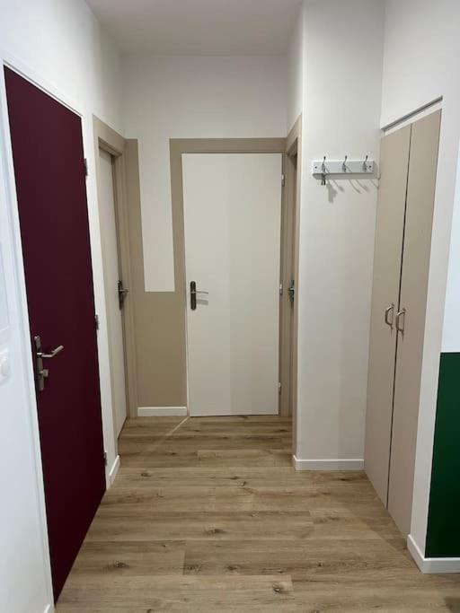 Le Chaleureux Luchonnais Apartment Bagneres-de-Luchon ภายนอก รูปภาพ